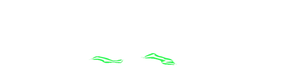 GINTOTO LOGO